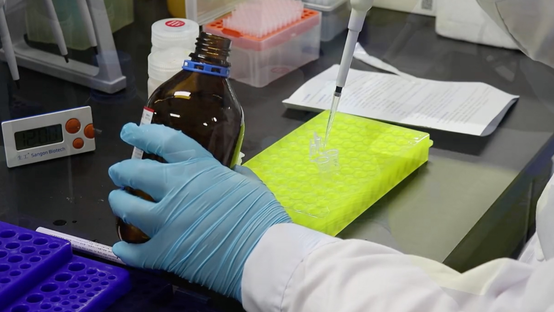 基礎(chǔ)實(shí)驗(yàn)