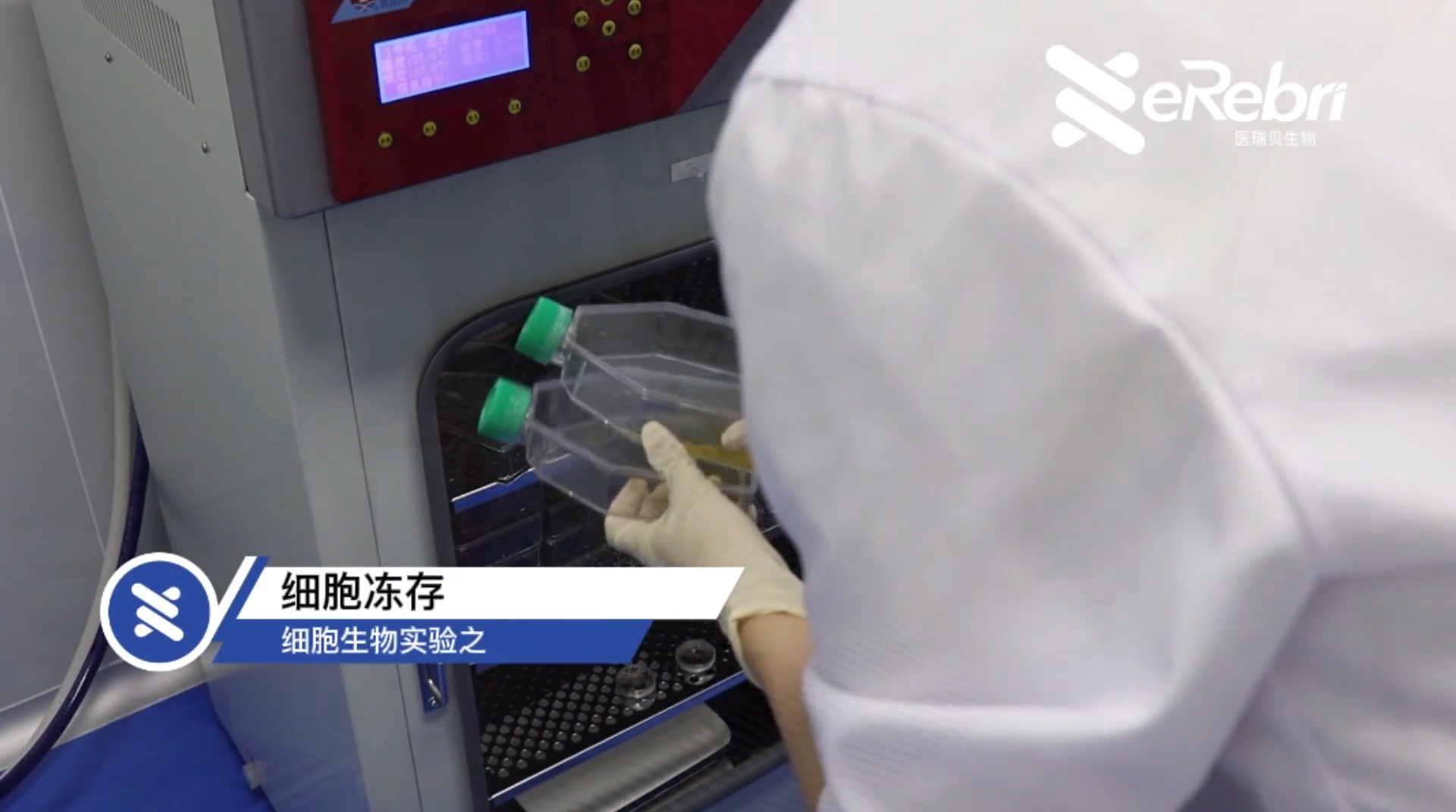 細(xì)胞實驗-細(xì)胞凍存