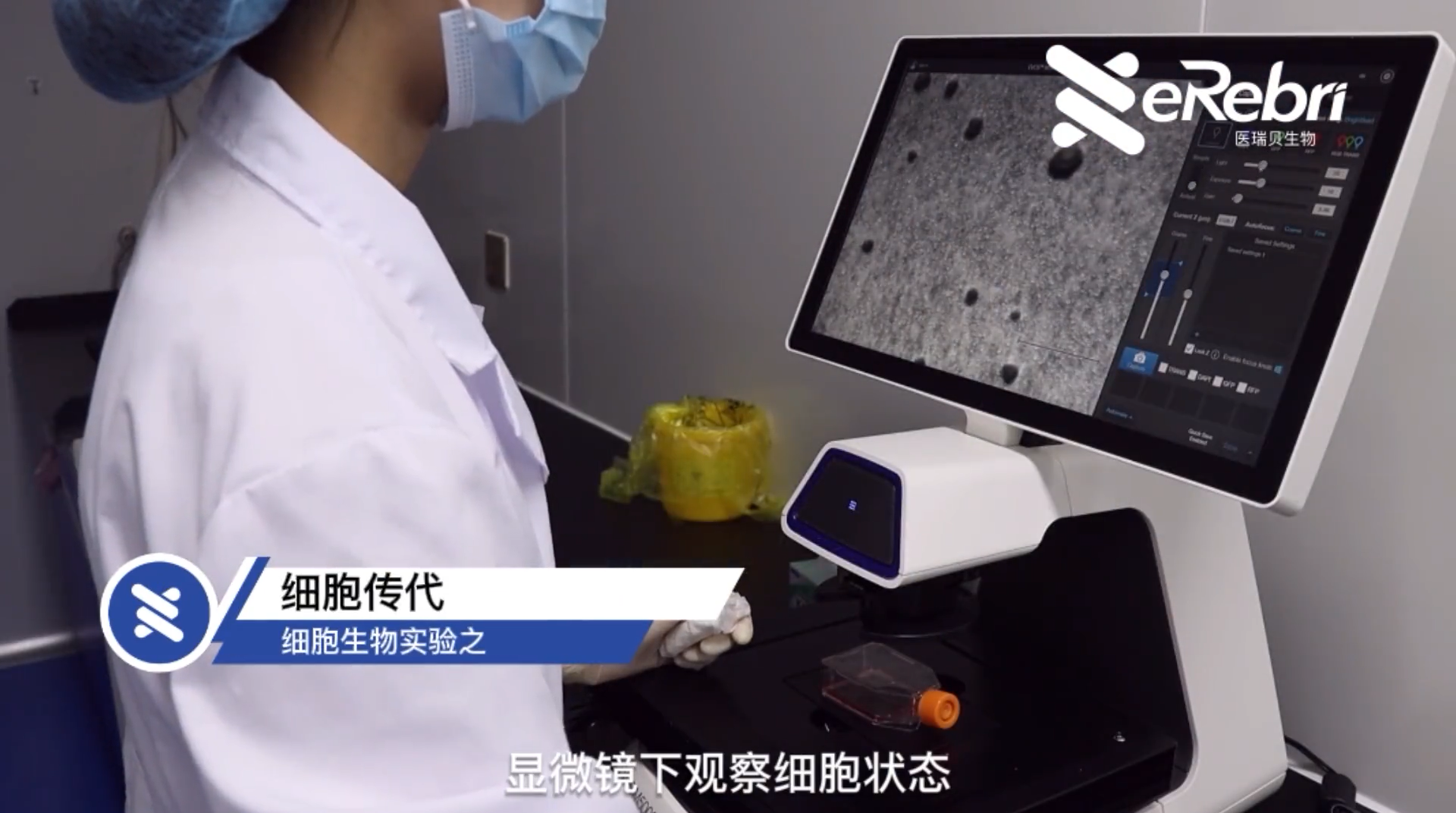 細(xì)胞實驗-細(xì)胞傳代