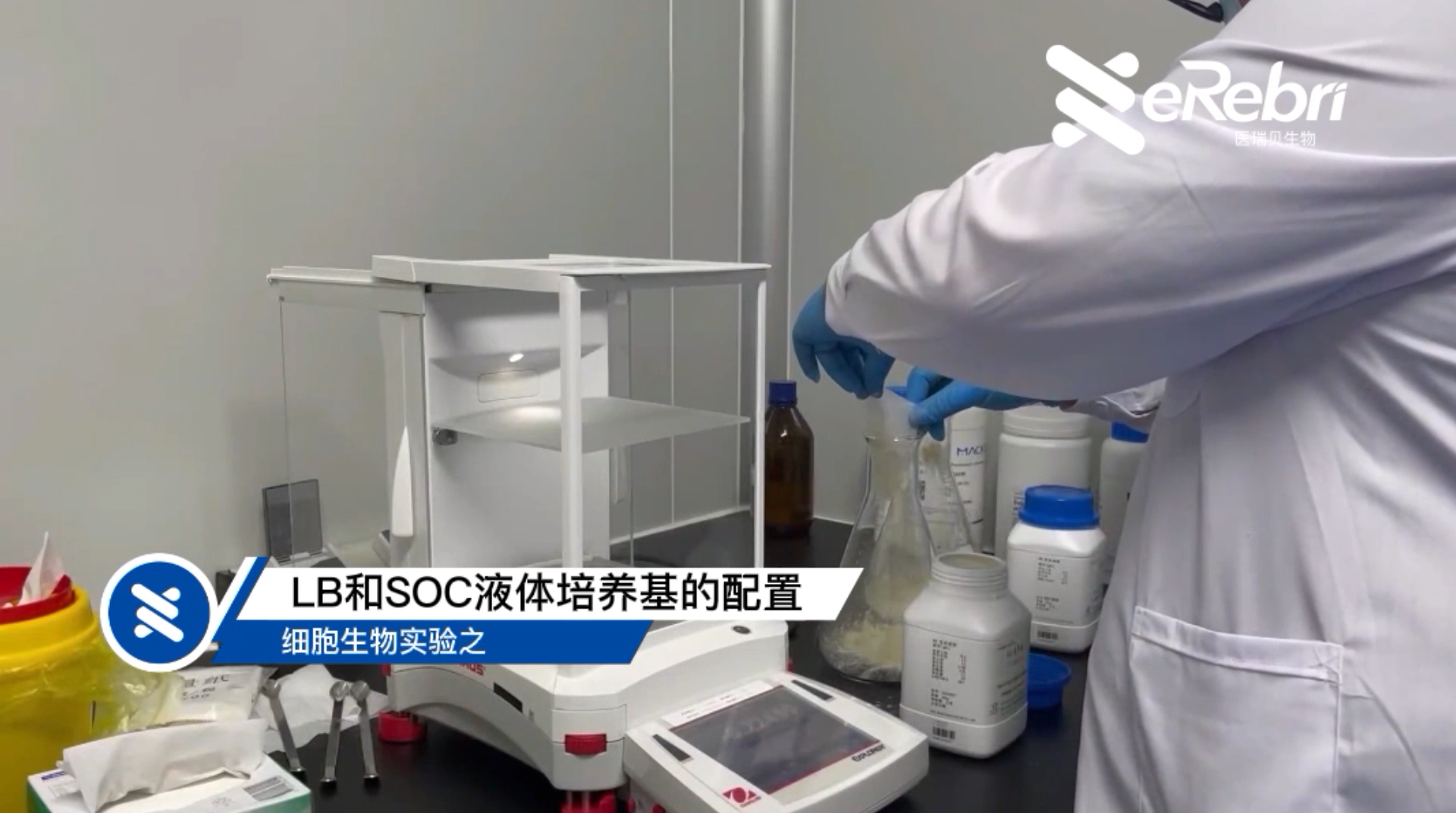 細(xì)胞實驗-LB和SOC液體培養(yǎng)基的配置