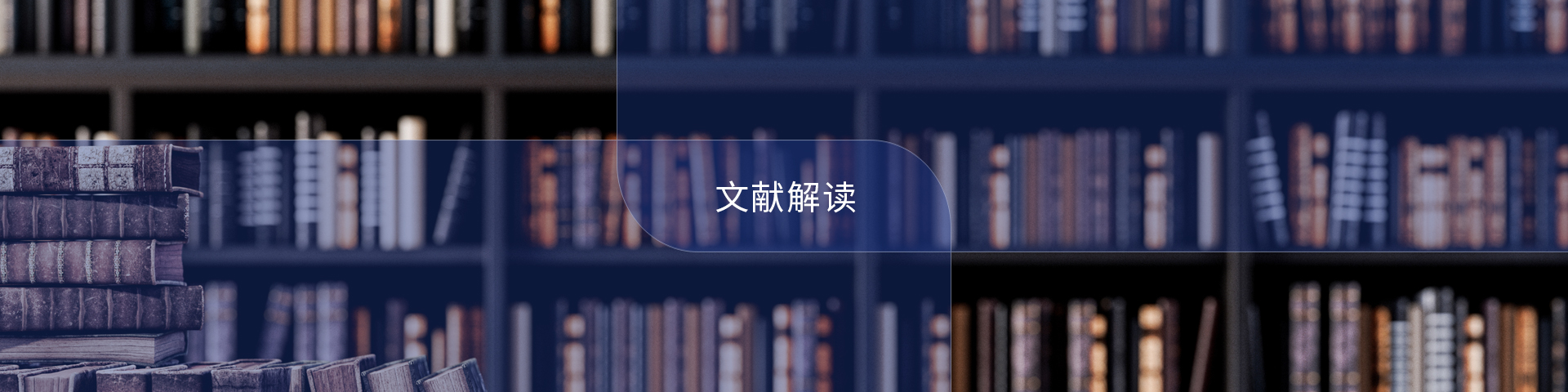 文獻(xiàn)解讀