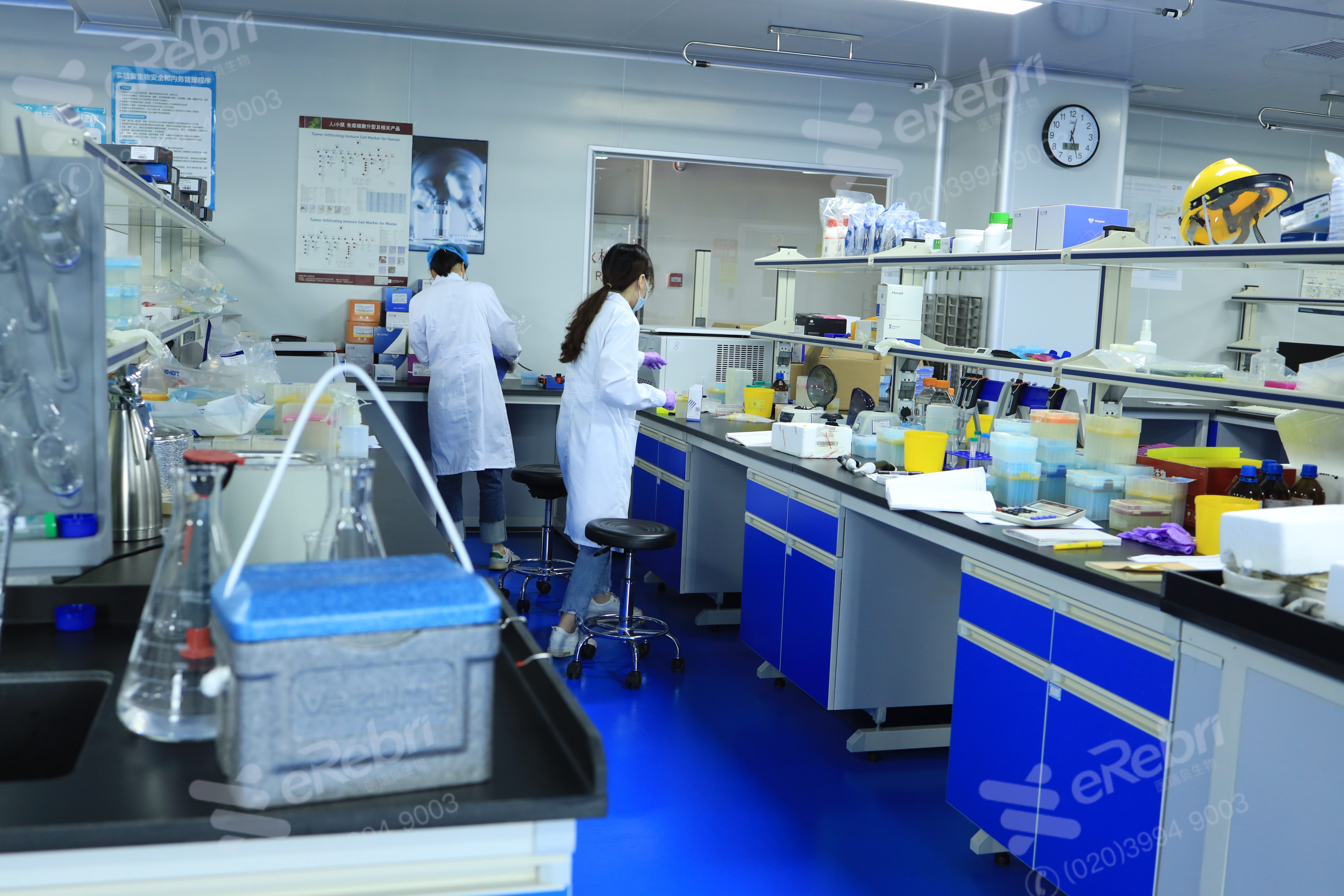 國家自然科學(xué)基金“十四五”學(xué)科重點(diǎn)支持方向到底有哪些