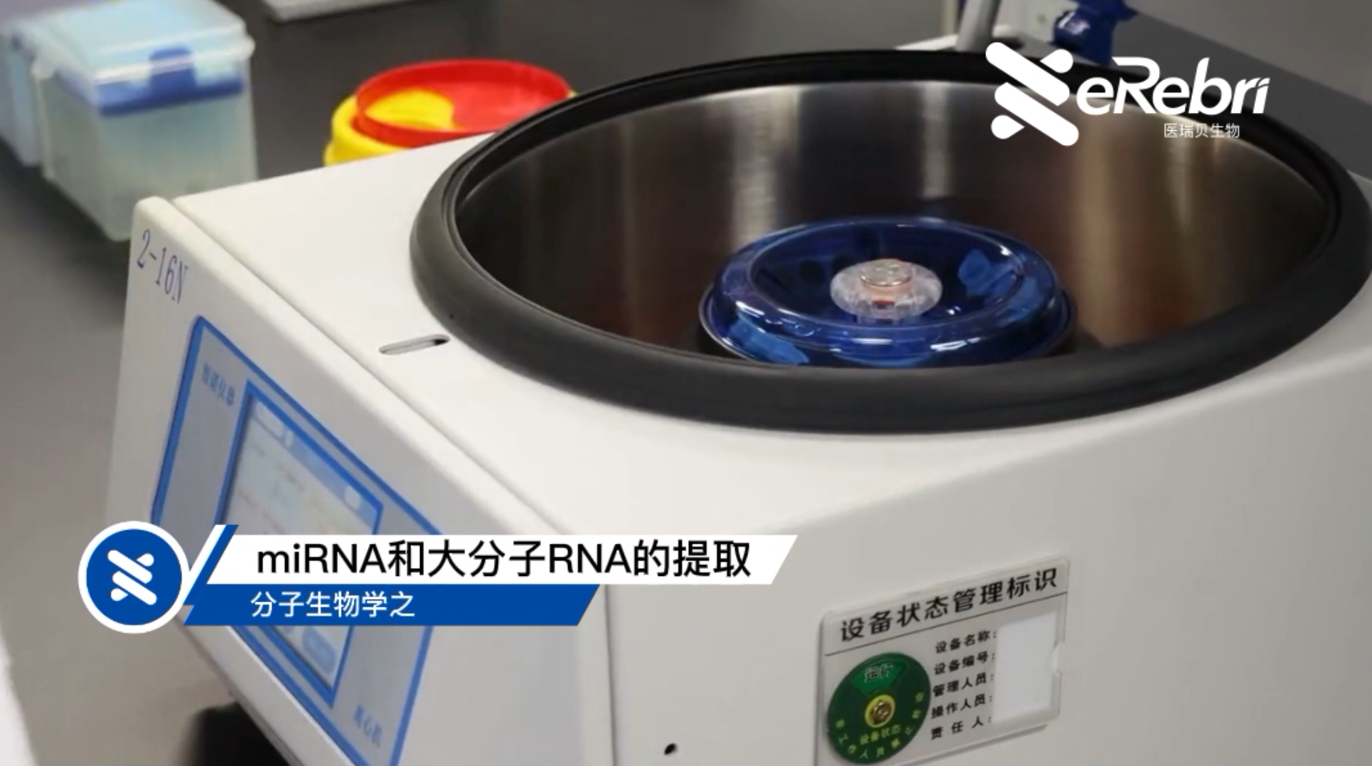 分子實驗-miRNA和大分子RNA的提?。ㄏ拢?></div>
<div   id=