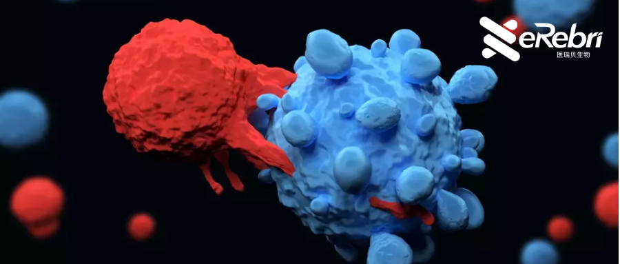 年終大盤點(diǎn)！醫(yī)學(xué)2022年十大最具影響力的科研事件來啦