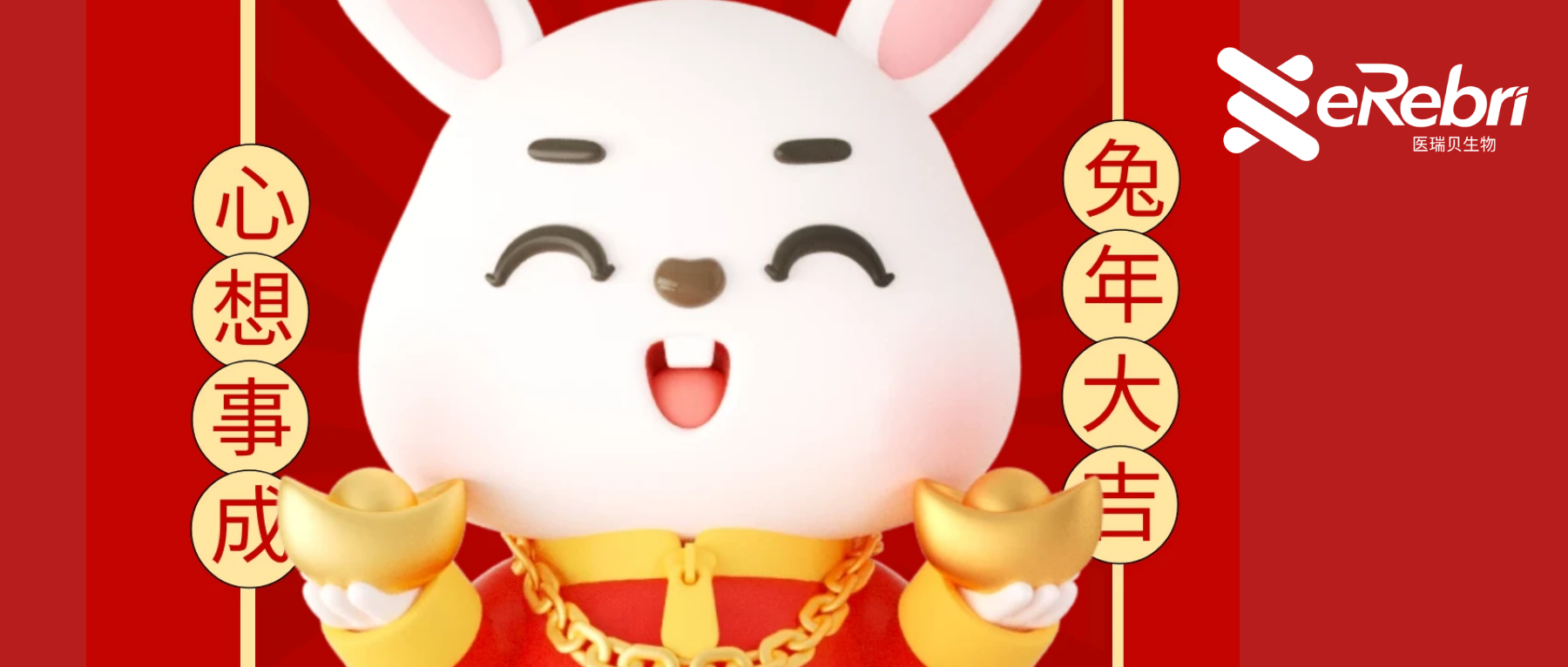 共赴新程｜醫(yī)瑞貝祝大家新年快樂！2023 宏“兔”大展